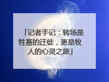 记者手记：转场是牲畜的迁徙，更是牧人的心灵之旅